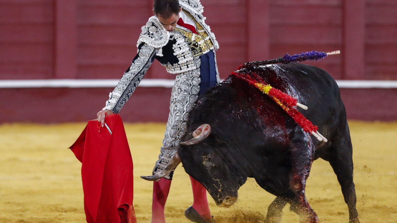 El malagueño Saúl Jiménez Fortes da un pase con la muleta. El malagueño Saúl Jiménez Fortes da un pase con la muleta.