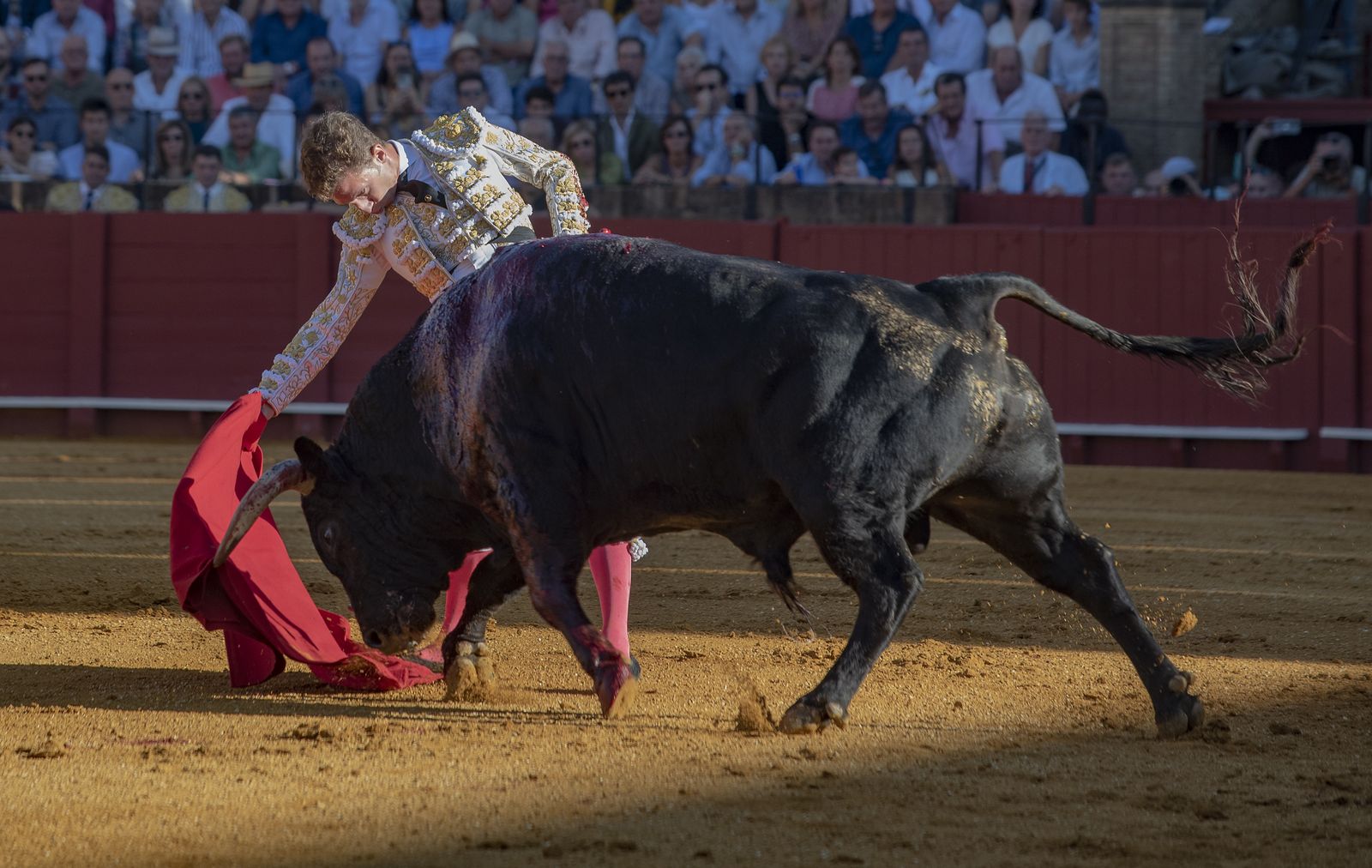 Las imágenes de la segunda corrida de la Feria de San Miguel