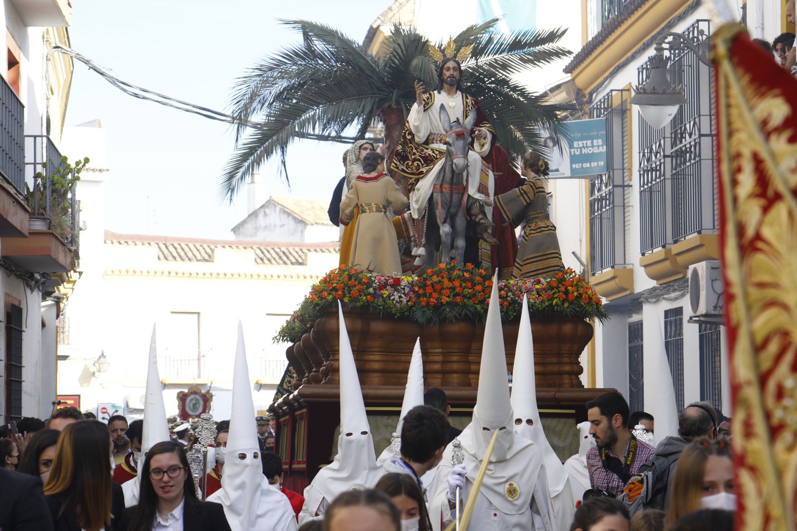 La procesión de la Entrada Triunfal del Domingo de Ramos en Córdoba, en imágenes