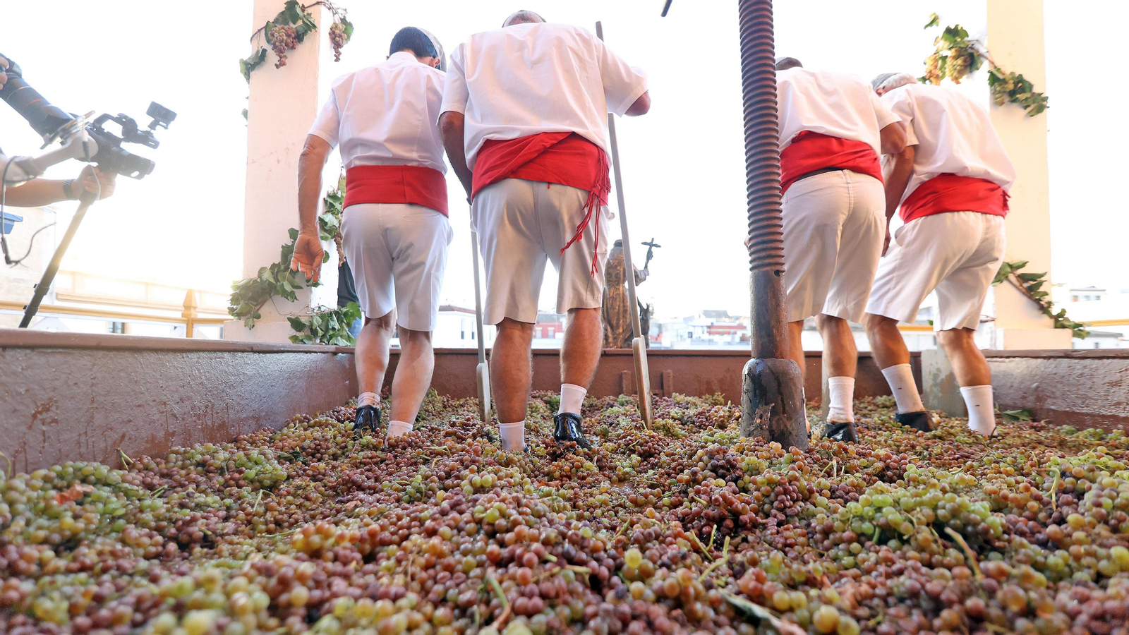 Tradicional Pisa de la Uva en la Catedral de Jerez 2023