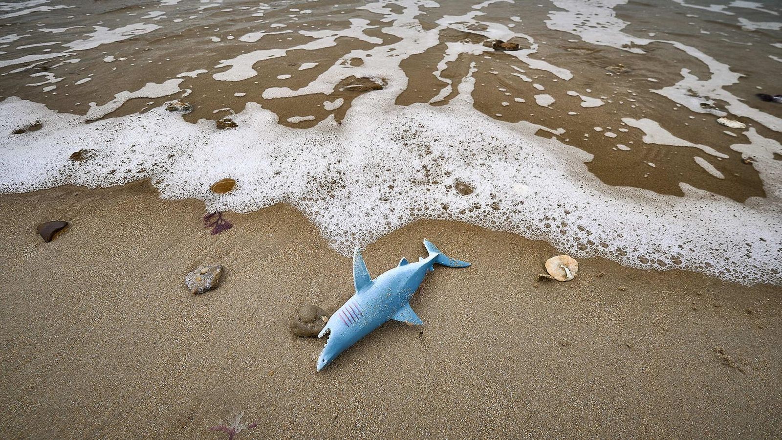 Un tiburón de juguete que la marea ha traído a la orilla de La Caleta.