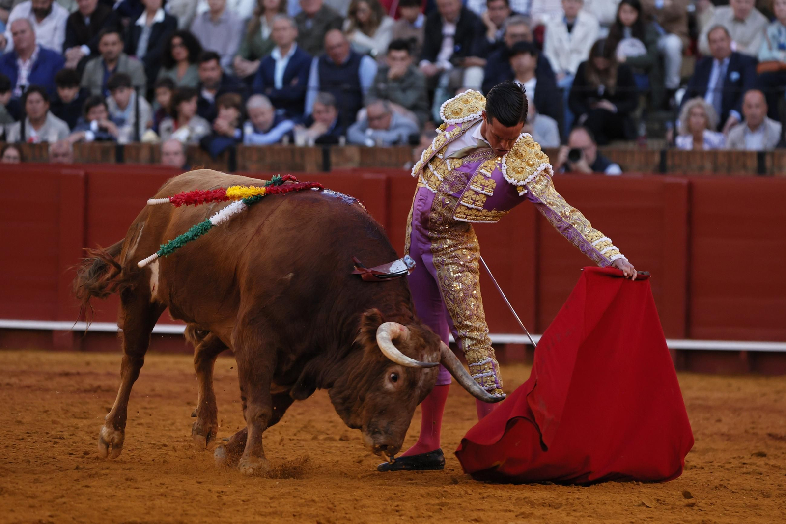 Las Imágenes del festejo