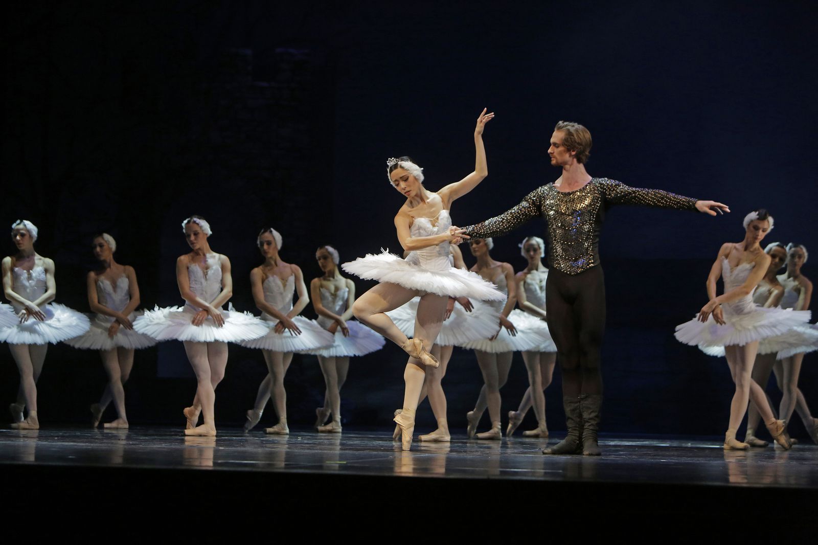 EL LAGO DE LOS CISNES