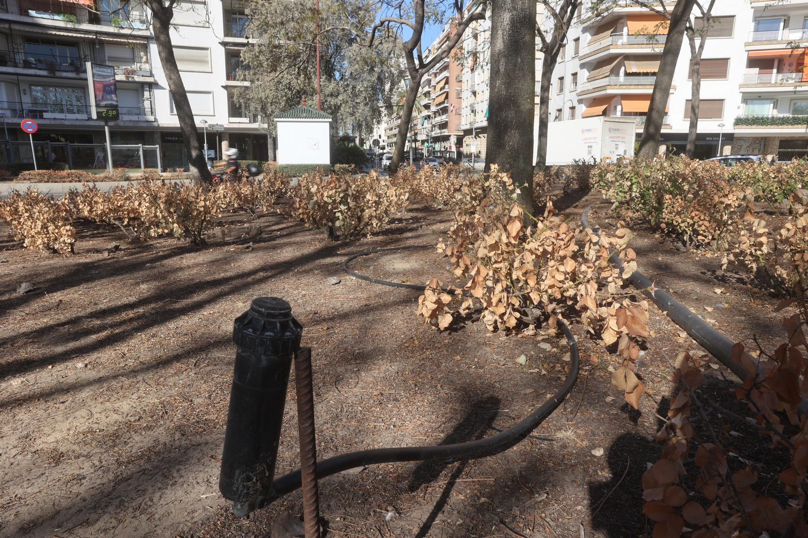 El barrio de Los Remedios, se seca