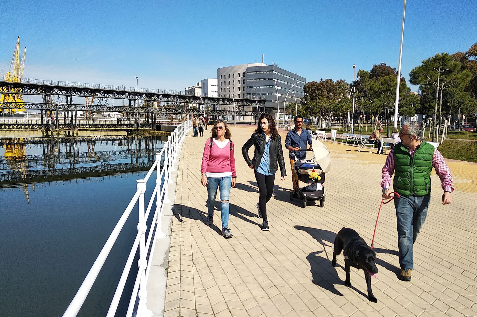 Ambiente primaveral en el día de Andalucía, en imágenes