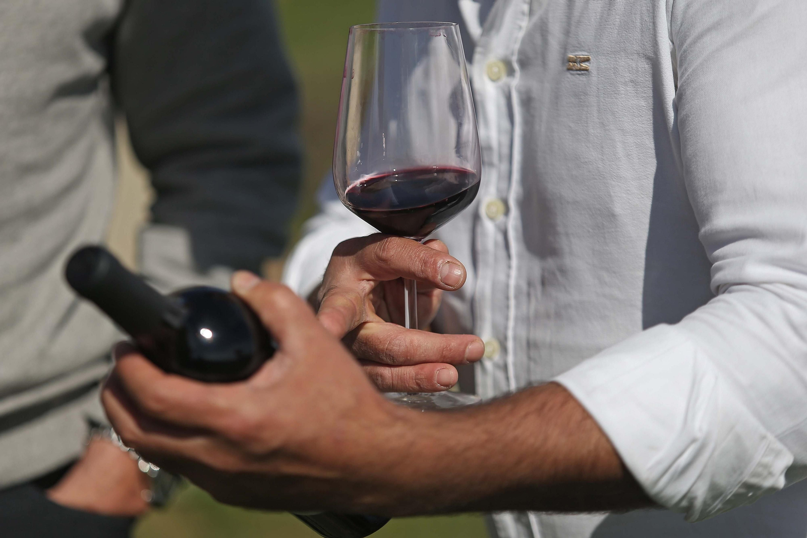 Fotos del lugar donde se produce Ribera de Hozgarganta, el primer vino del Campo de Gibraltar