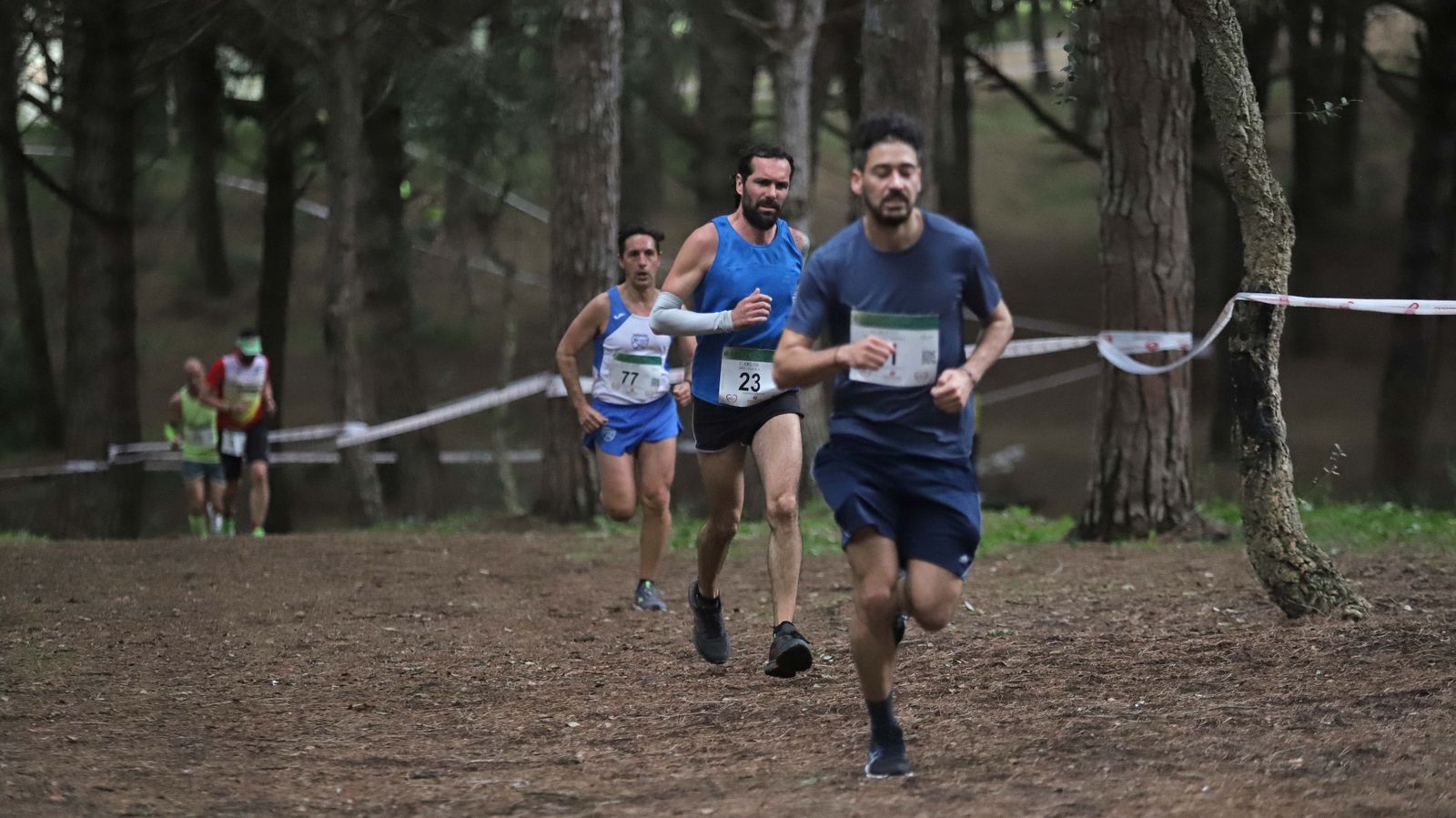 Fotos del III Cross Pinar del Rey en San Roque