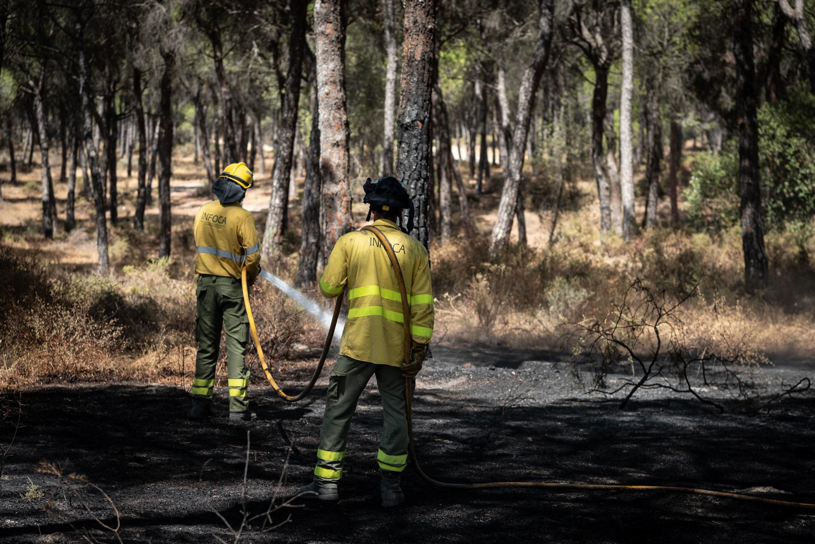 Imágenes de las labores de extinción del incendio de Bonares