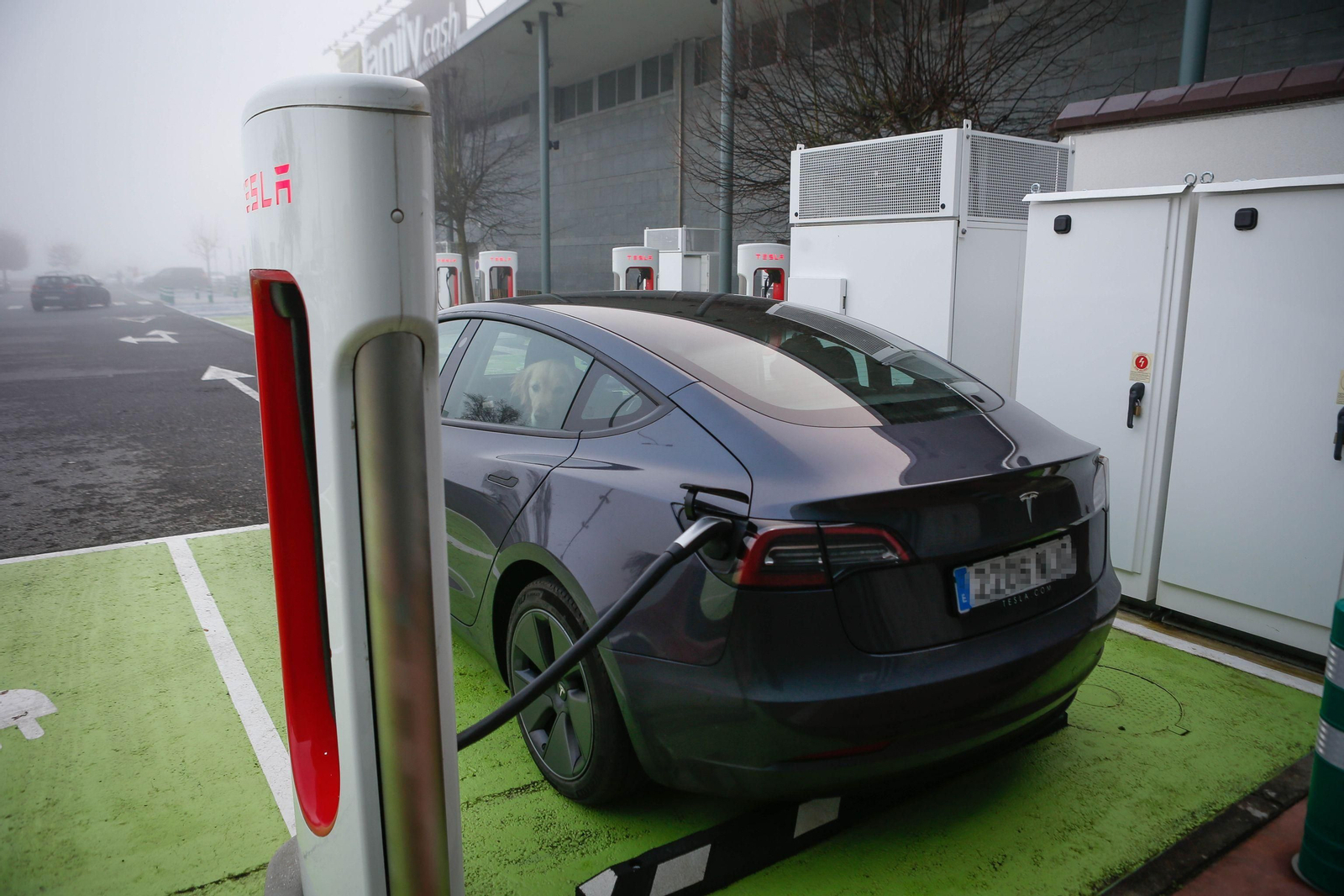 Carga eléctrica de un vehículo