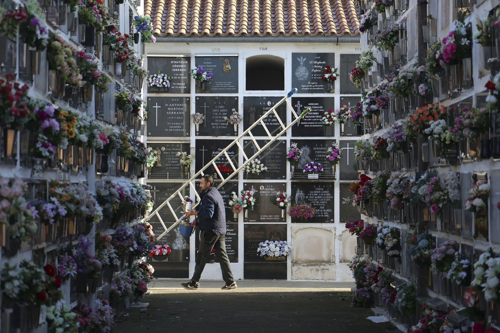 Un hombre carga una escalera por el cementerio de San Rafael de Córdoba.