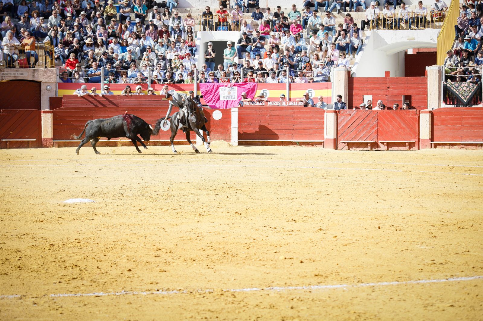 Imágenes del festival mixto lucha contra el cáncer