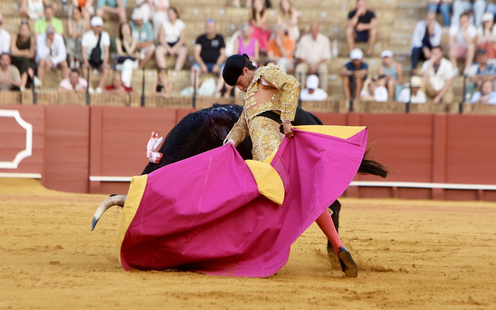 Novillada El Melli, Aarón Palacios y Manuel Jesús  Carrión
