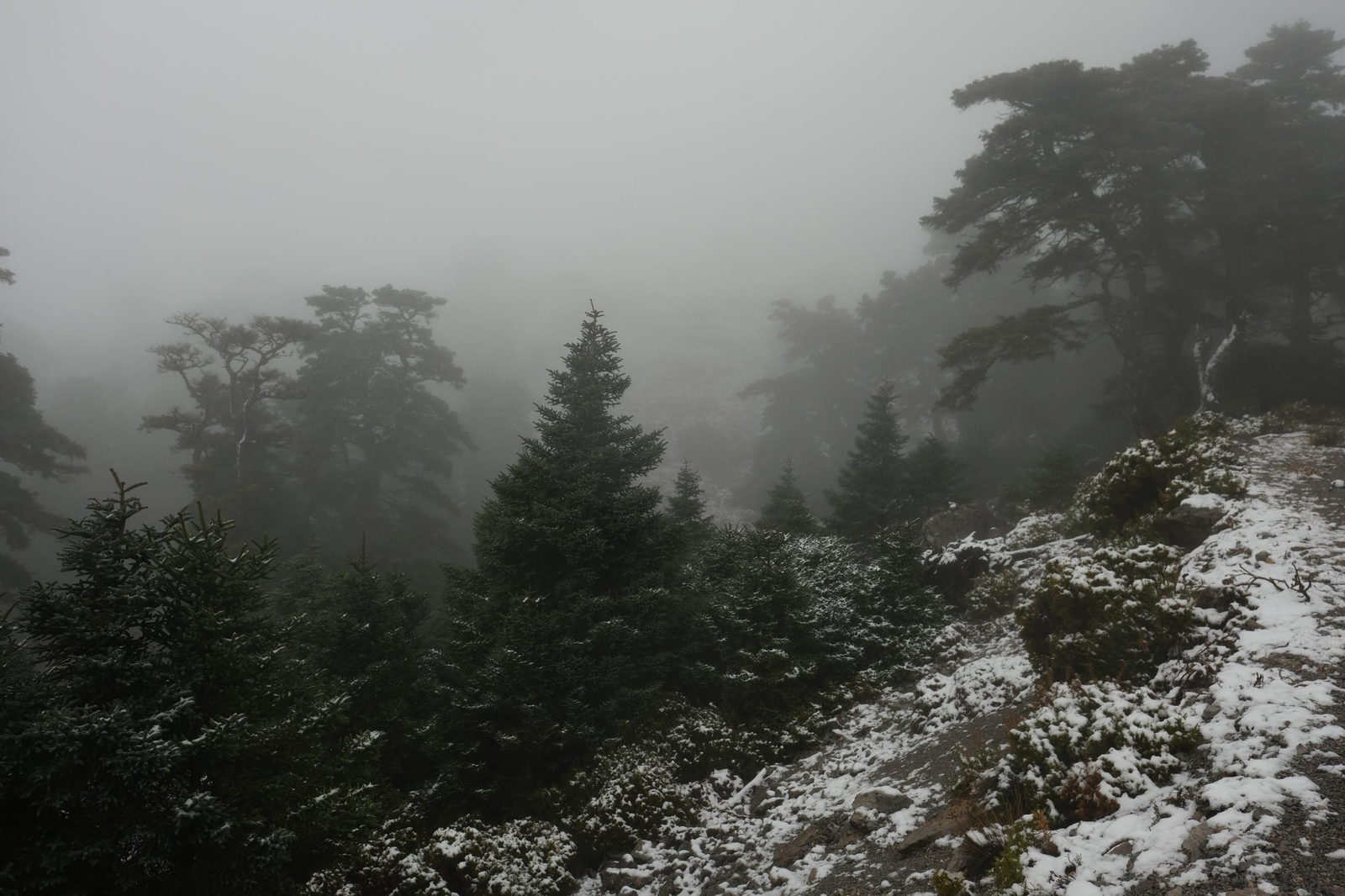 Estampa invernal en al Parque Nacional Sierra de las Nieves, en imágenes