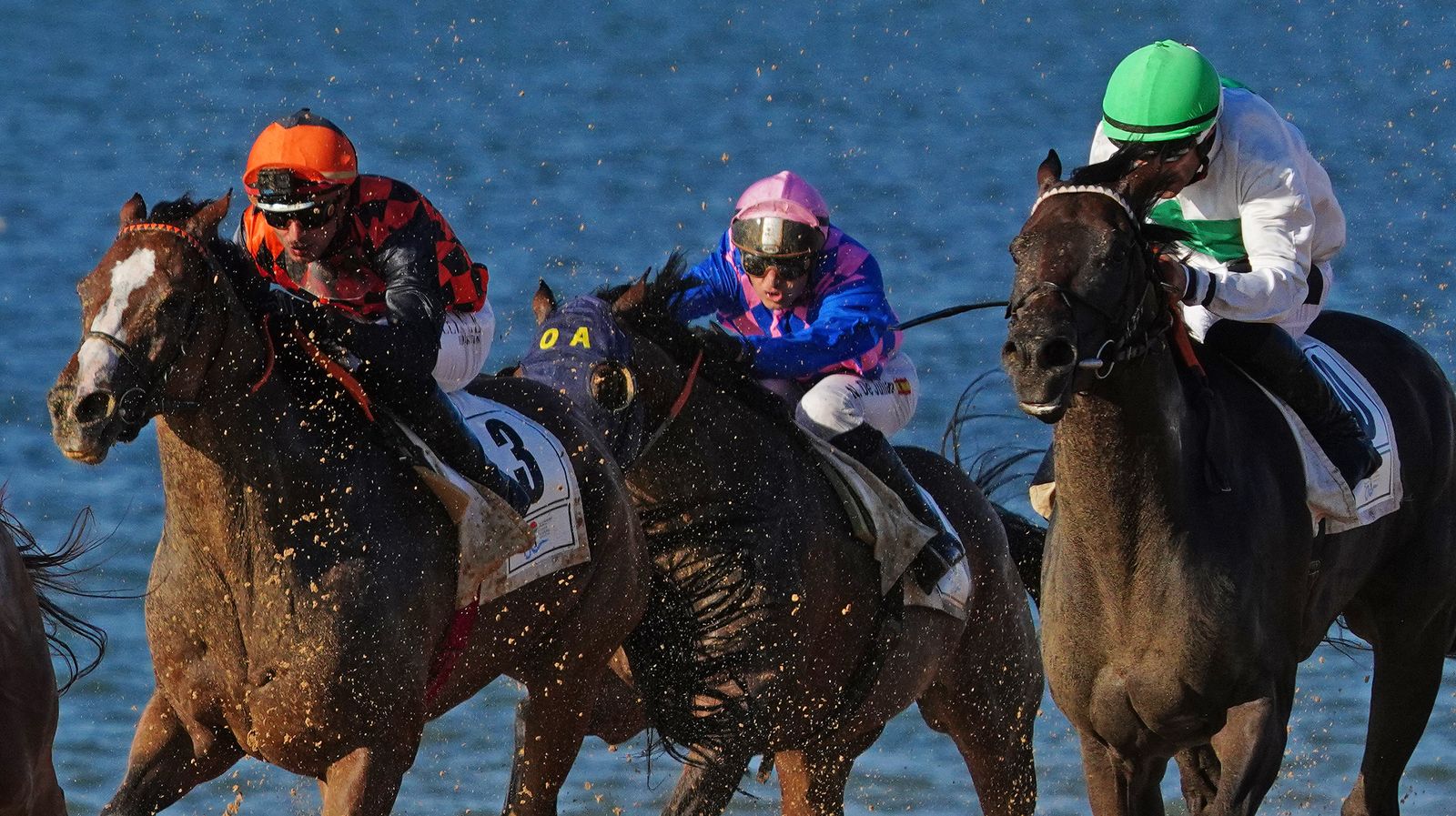 Imágenes del último día de las Carreras de Caballos de Sanlúcar 2022