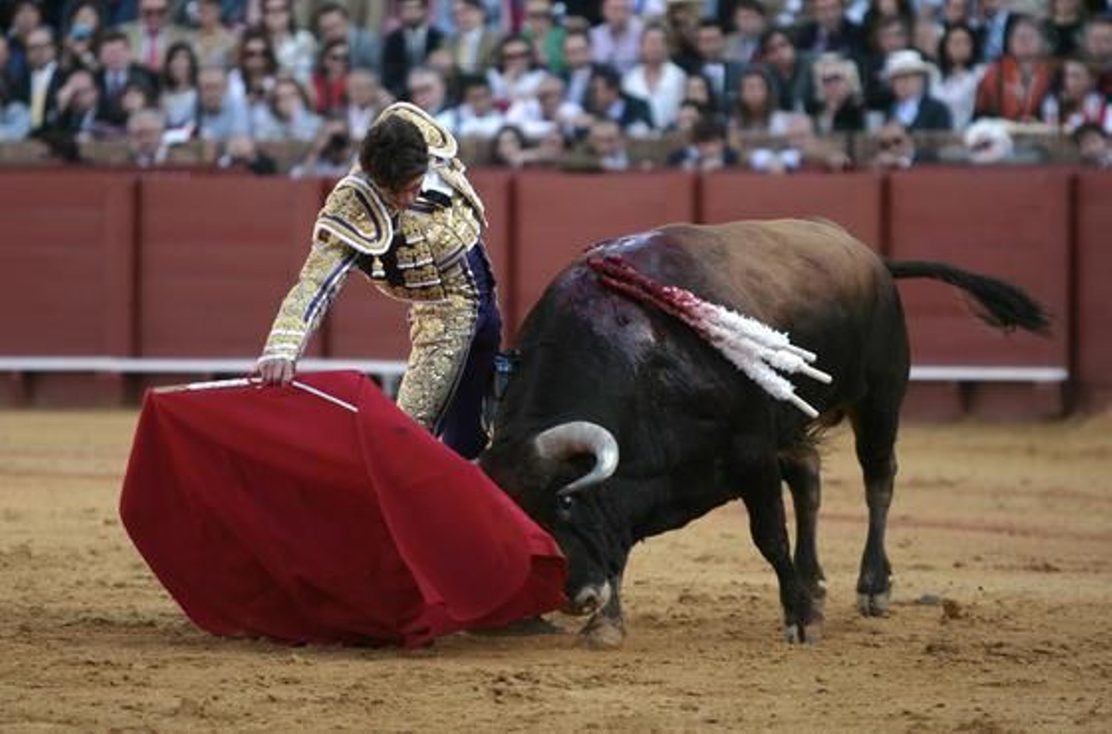 Foto: Juan Carlos Muñoz