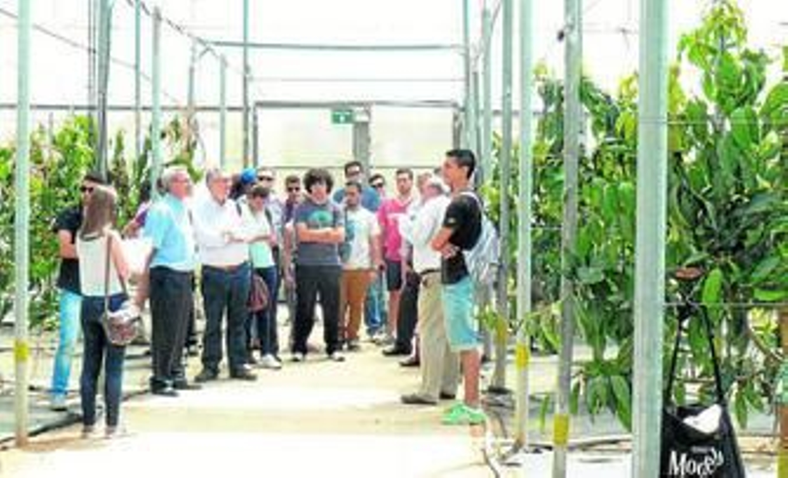 Alumnos de la Universidad de Almería atienden a las explicaciones que desarrolla el personal de la finca UAL-Anecoop.