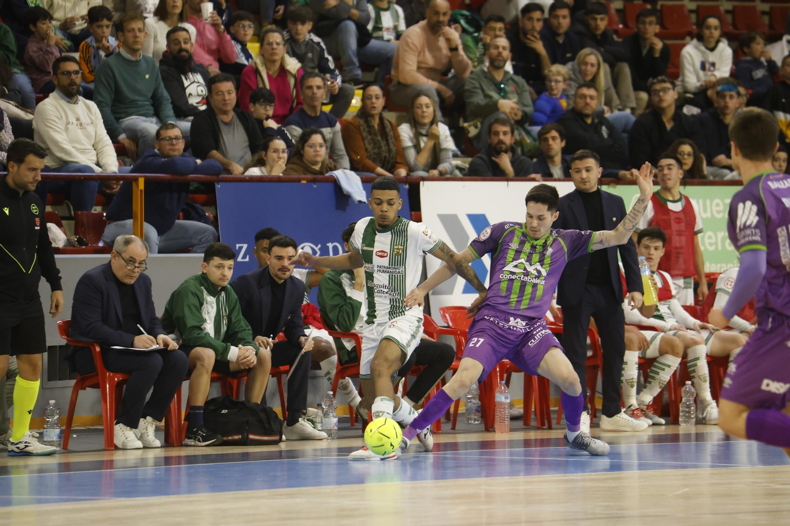 Las mejores fotos del ambiente en Vista Alegre para el Córdoba Futsal - Palma.