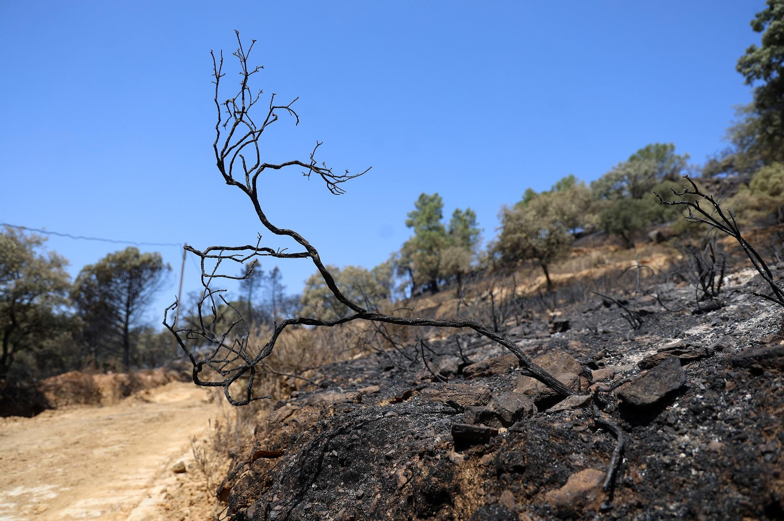 Imágenes de los vecinos de Los Romeros ya en sus casas tras el incendio
