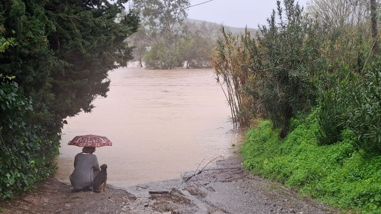 El río Guadiaro desbordado.