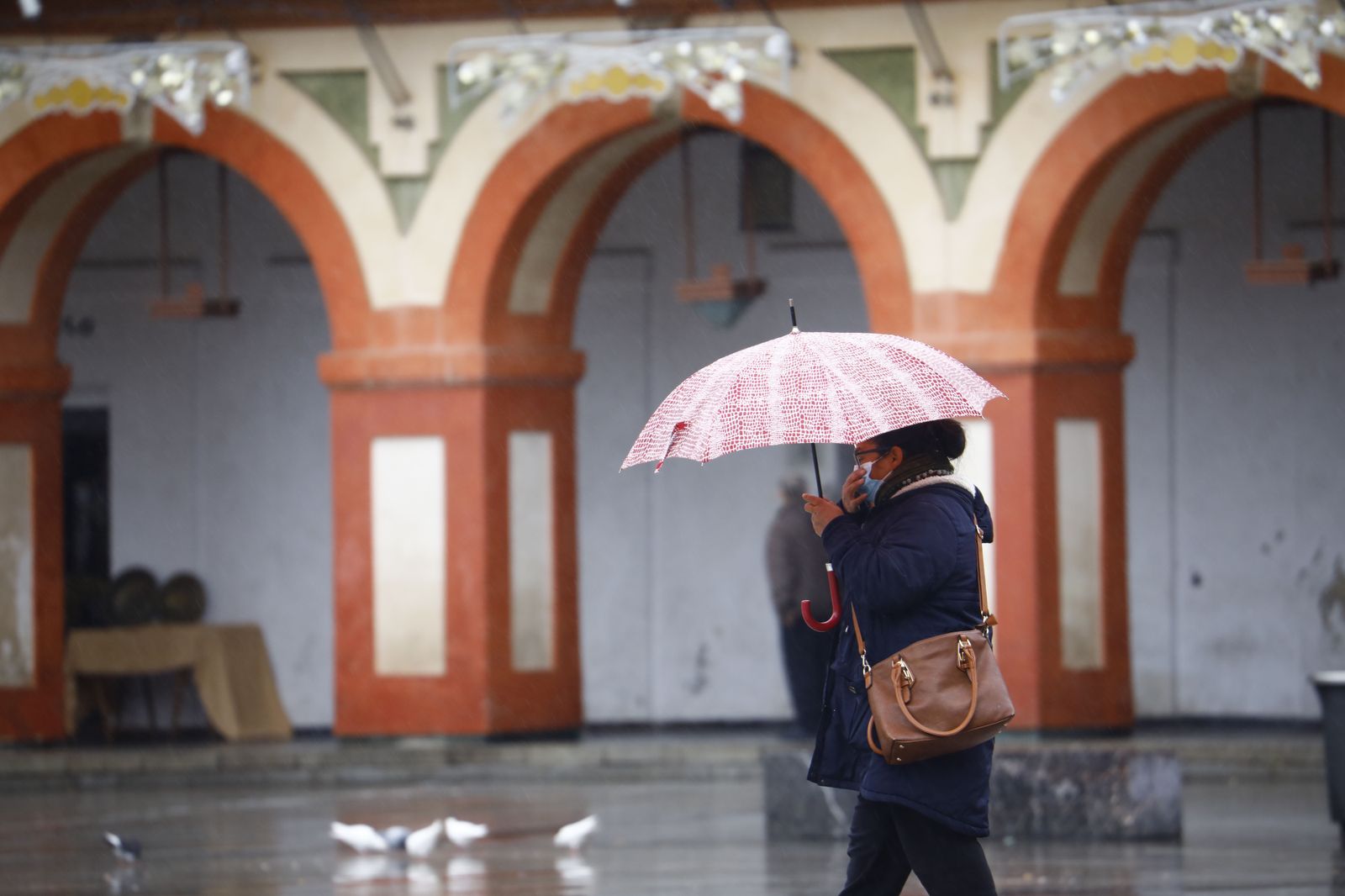 Las fotografías del paso de la borrasca Filomena por Córdoba