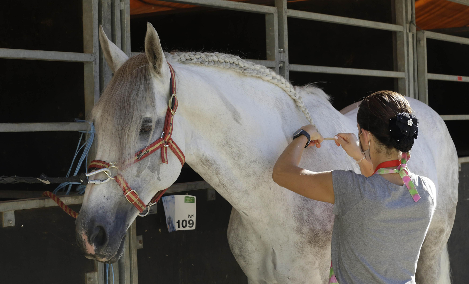 Imágenes del Sicab 2020 en su primer día