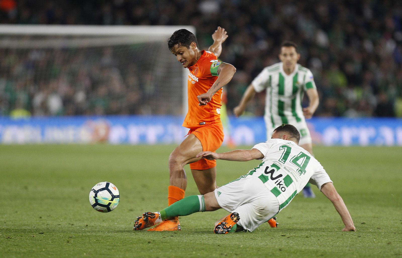 Las imágenes del Betis-Málaga