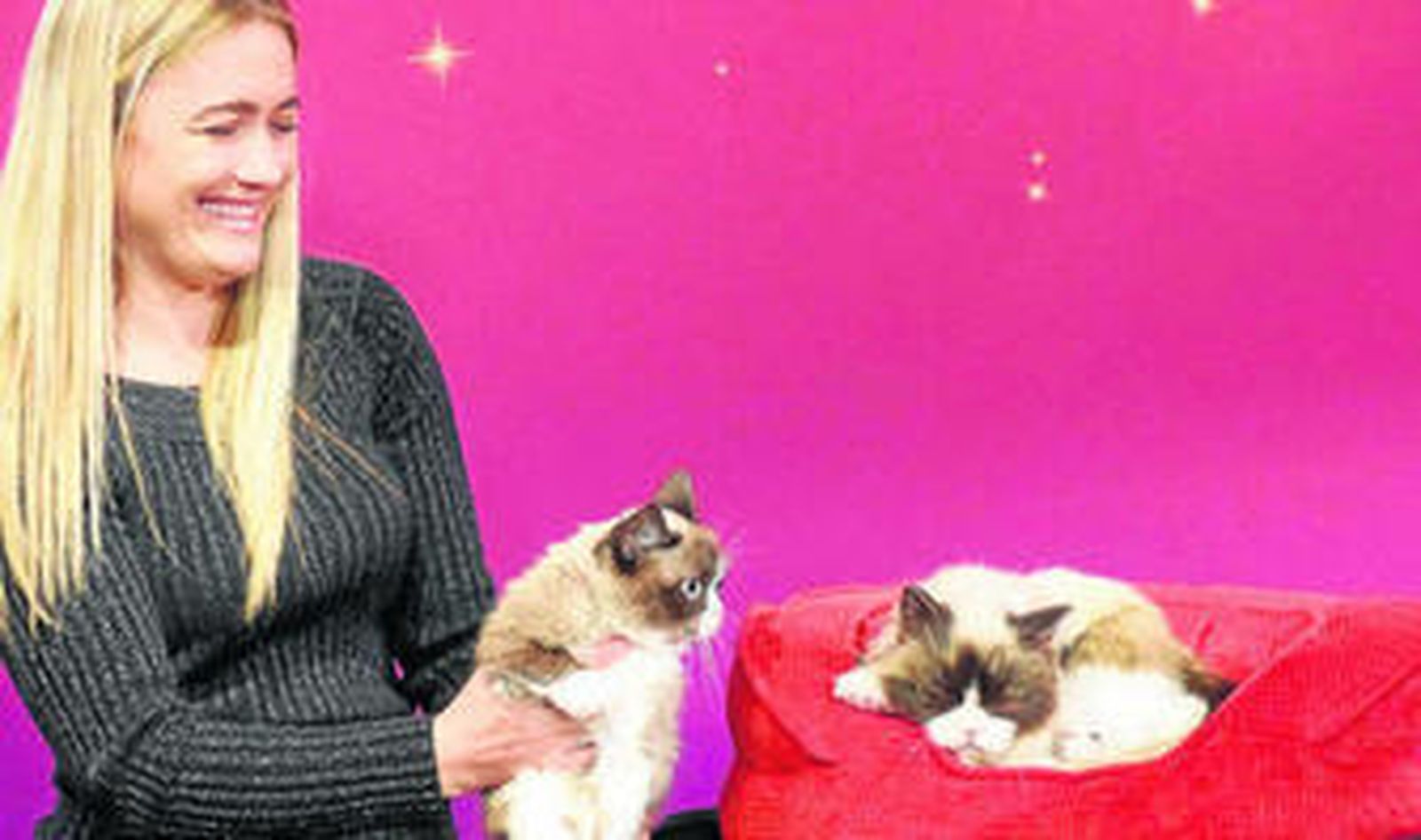 Grumpy Cat, el gato encumbrado por vídeos y redes sociales, ante su imagen en cera en el museo de San Francisco.