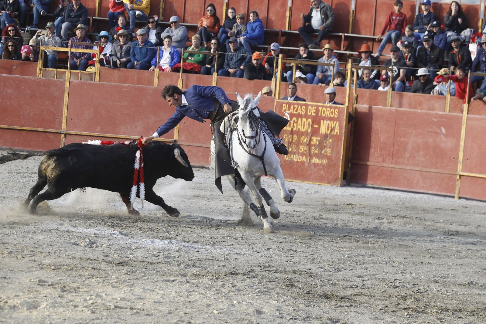Fotogalería Festival Taurino Mixto. Fiestas de Abrucena.