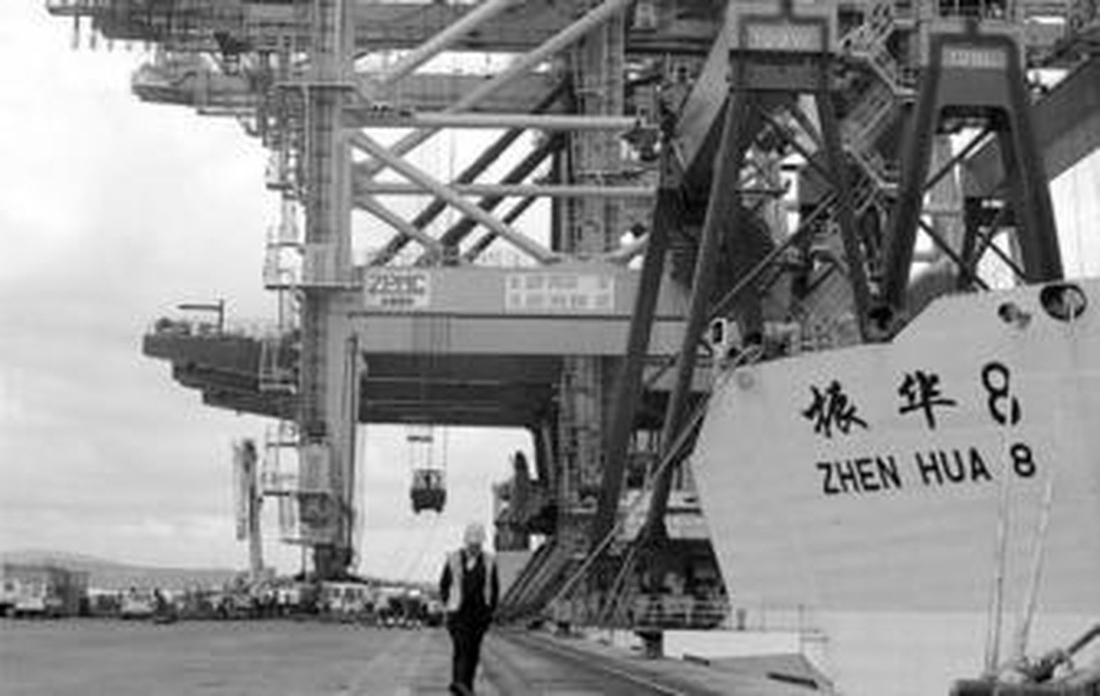 'Portainers' trabajan en la terminal de contenedores del puerto algecireño.