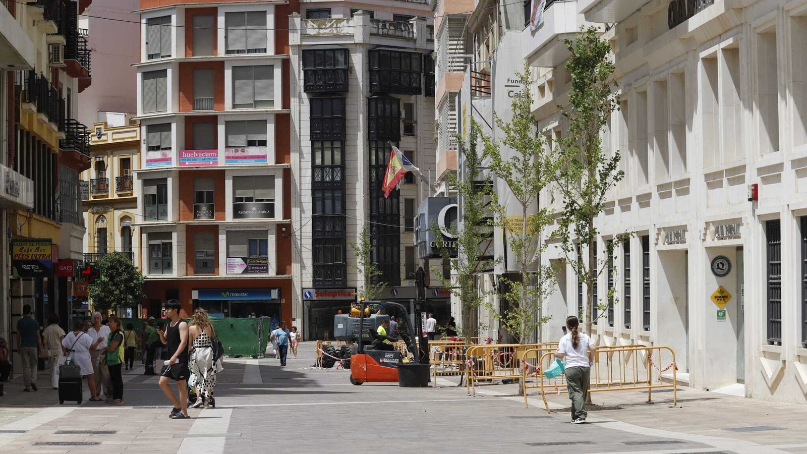 Los nuevos árboles de La Placeta