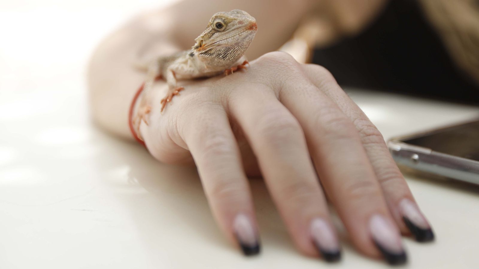 Fotos del festival de foodtrucks y conciertos por el 318 aniversario de San Roque