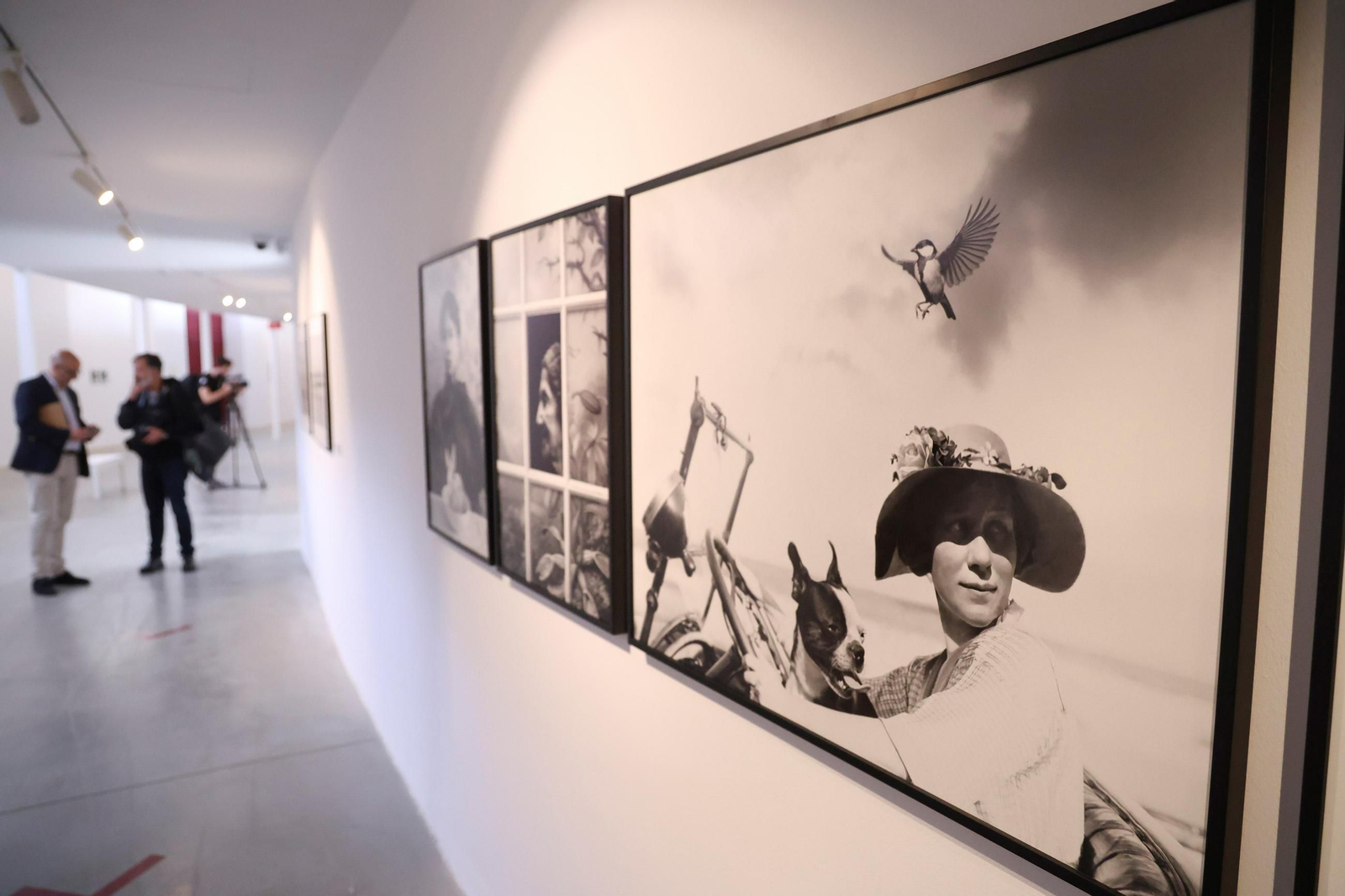 El Centro Cultural La Malagueta acogerá el festival literario Málaga 451.