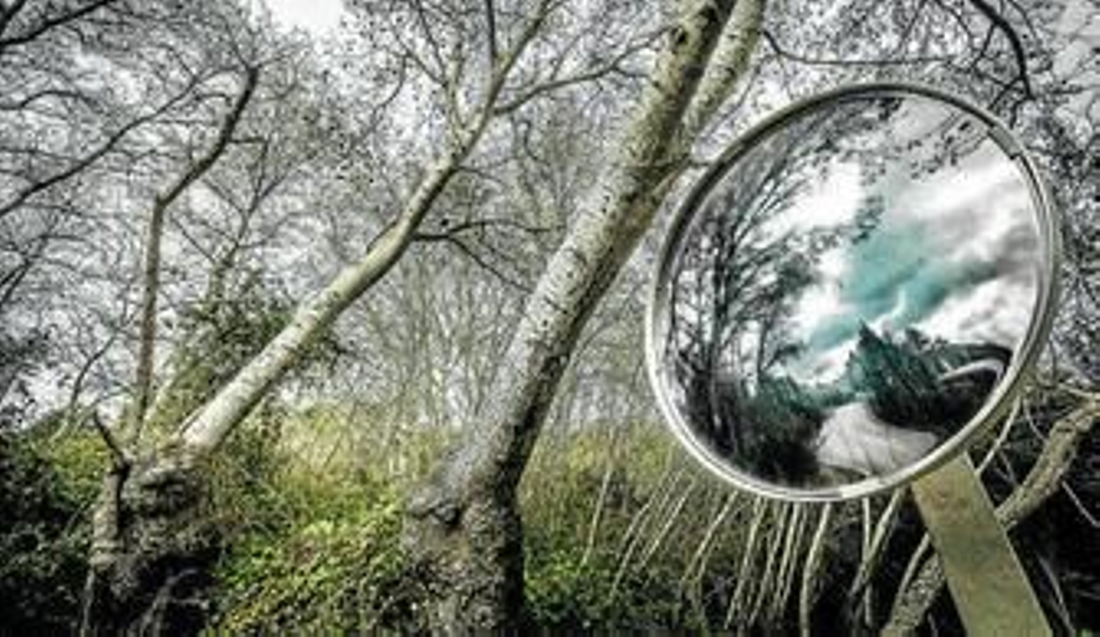 Imagen tomada en lo más profundo del monte delimitado por uno de los mayores latifundios de Europa y que hace frontera con cuatro municipios.