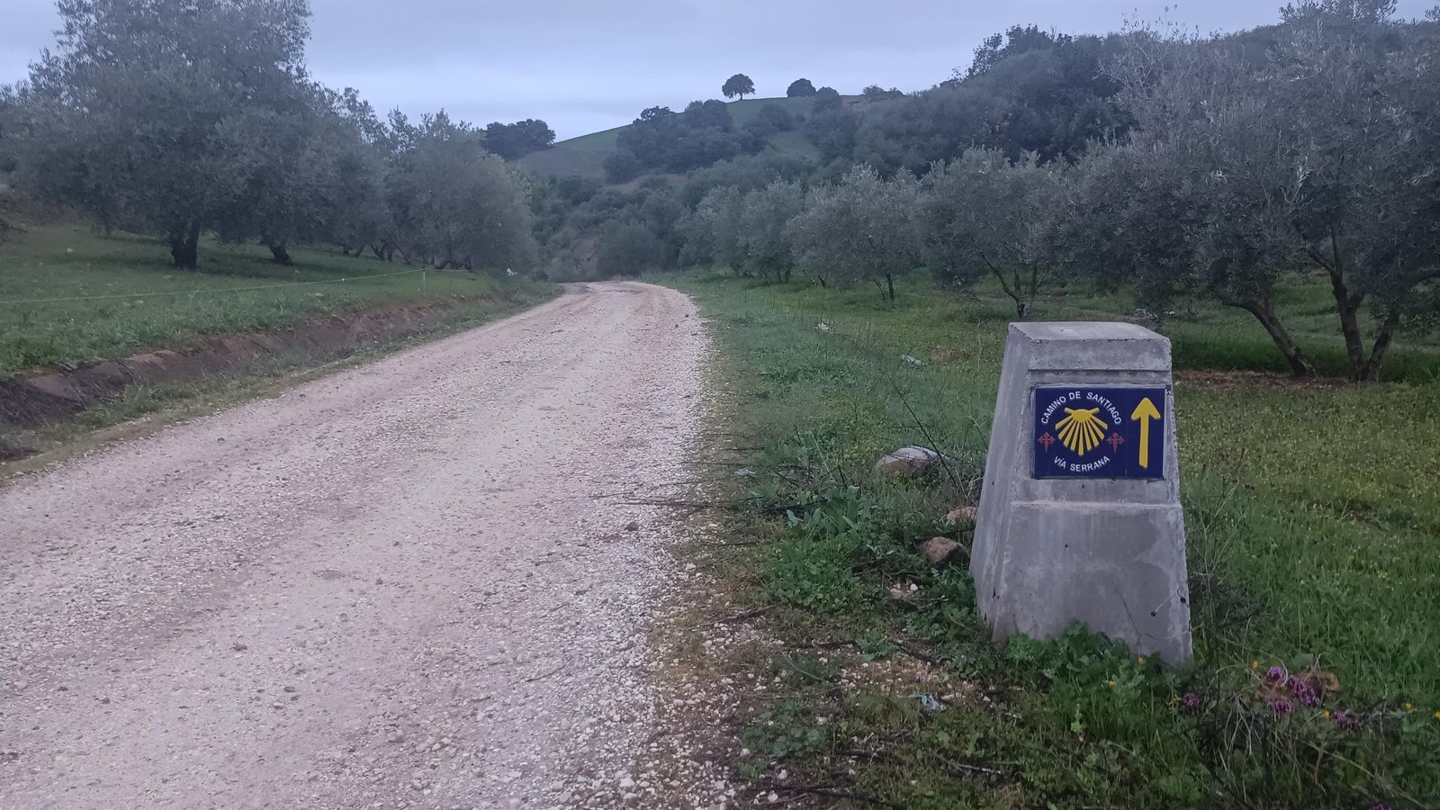 Una señal en el Camino de la Joya, a la salida de Coripe.
