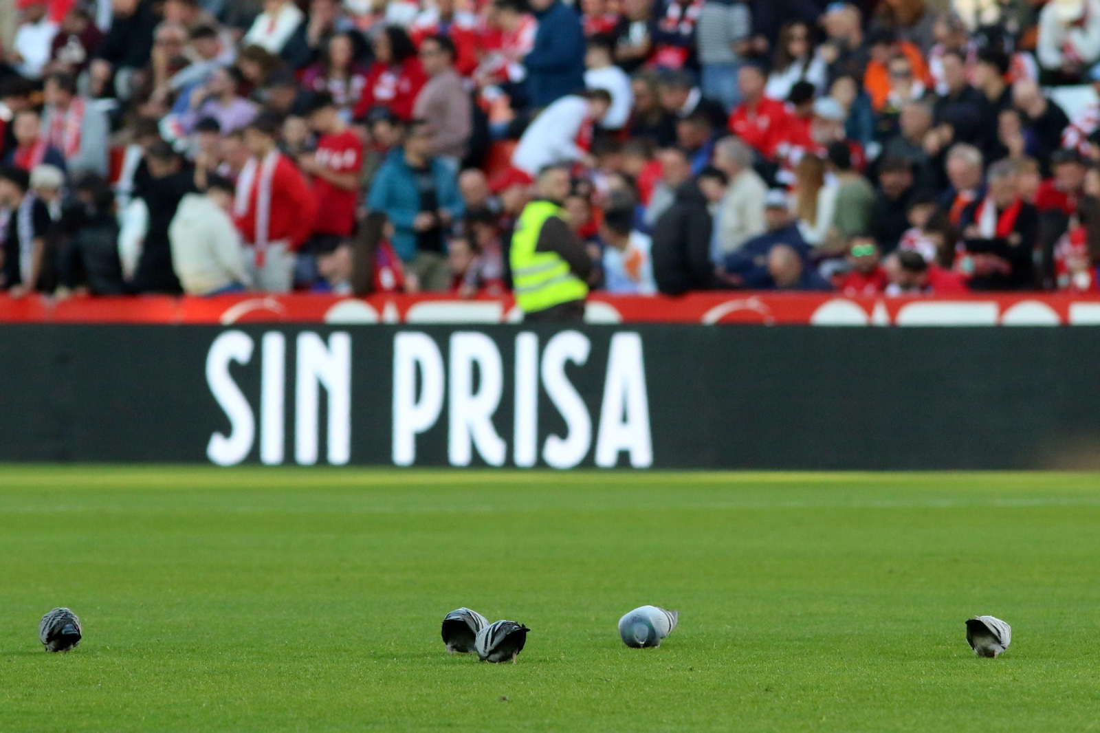 Las imágenes de la suspensión del Granada - Athletic por la muerte de un aficionado
