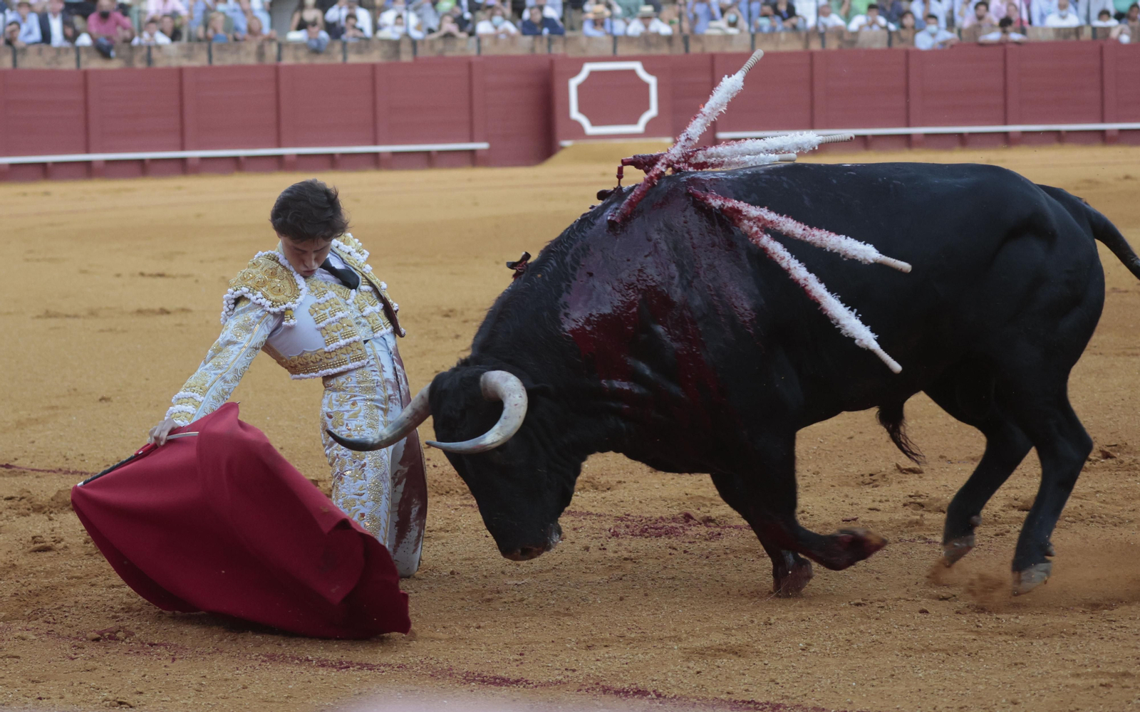 Las imágenes del primer festejo de San Miguel