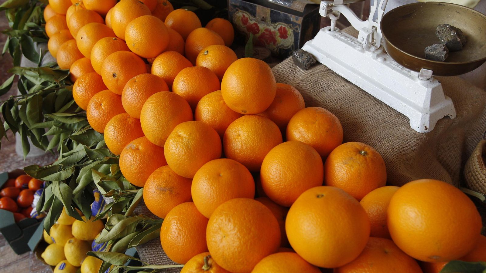 Apetitosas naranjas de Gádor.