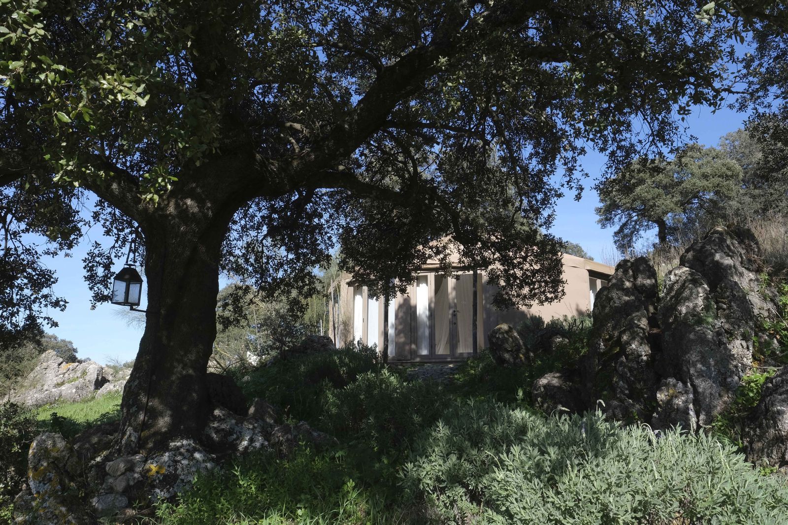 La Donaira, en fotos