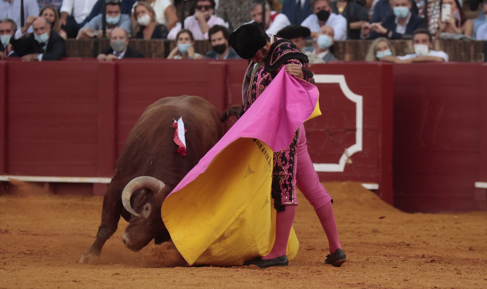 Las imágenes del triunfo de Morante en San Miguel