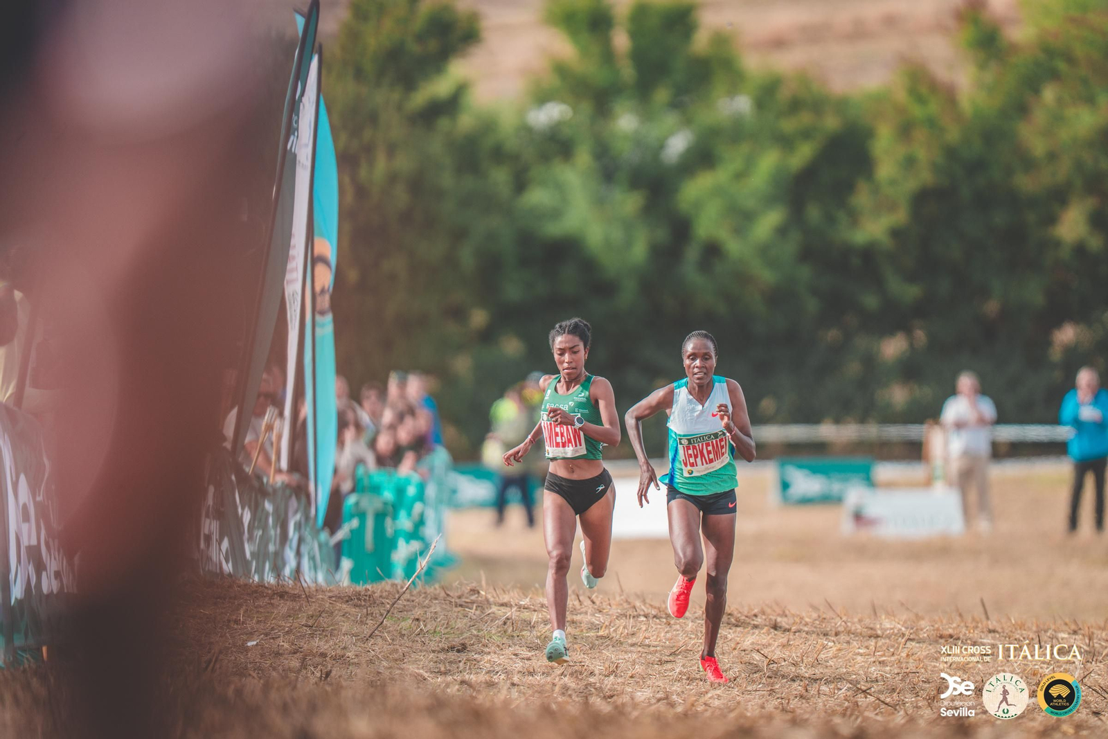 Búscate en las fotos del Cross de Itálica 2025 | 11