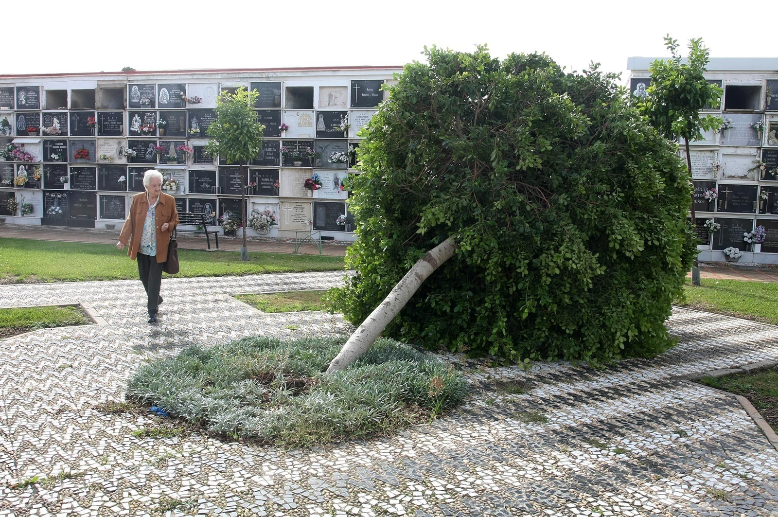 Imágenes del ambiente en el cementerio La Soledad, Huelva