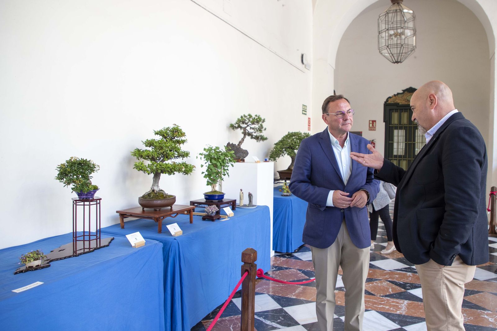 La Exposición de Bonsái de Primavera de Córdoba, en fotografías