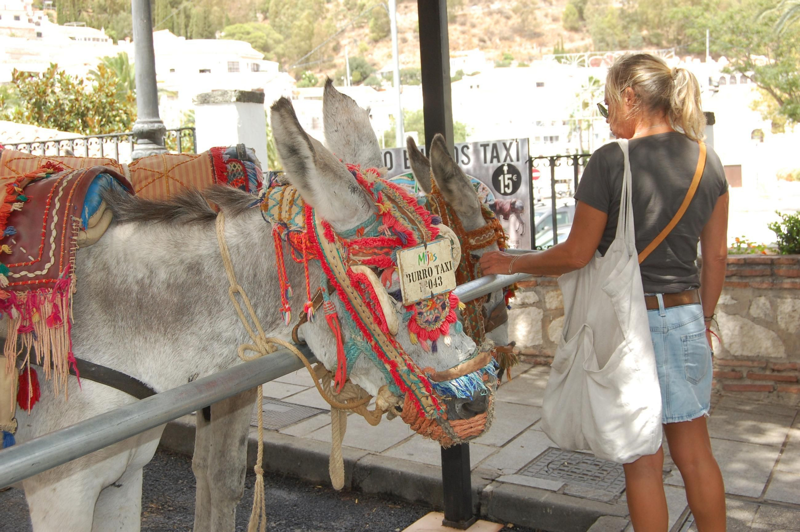 Una turista en la parada de burro-taxis. Una turista en la parada de burro-taxis.