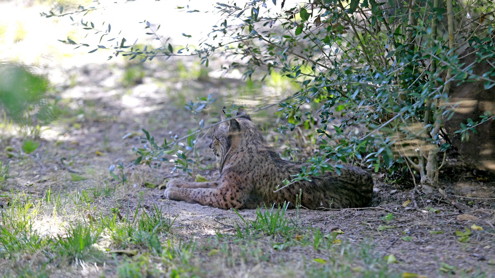 Reapertura del Zoo de Jerez
