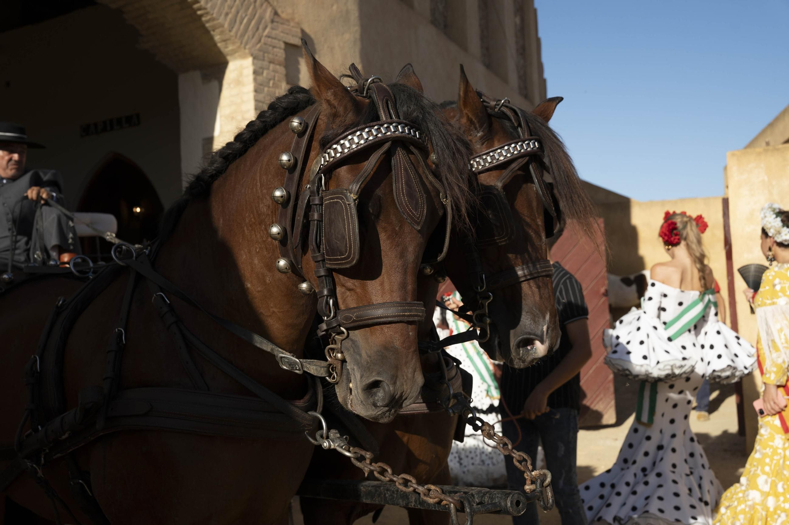 Las imágenes de los toros en Vera
