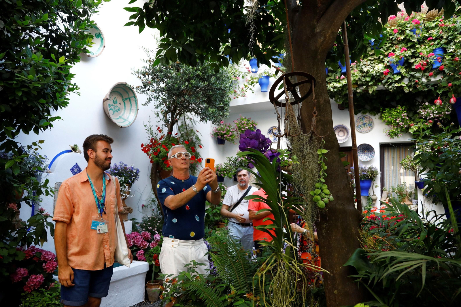 Los ganadores del Concurso de Patios de Córdoba 2023, en imágenes