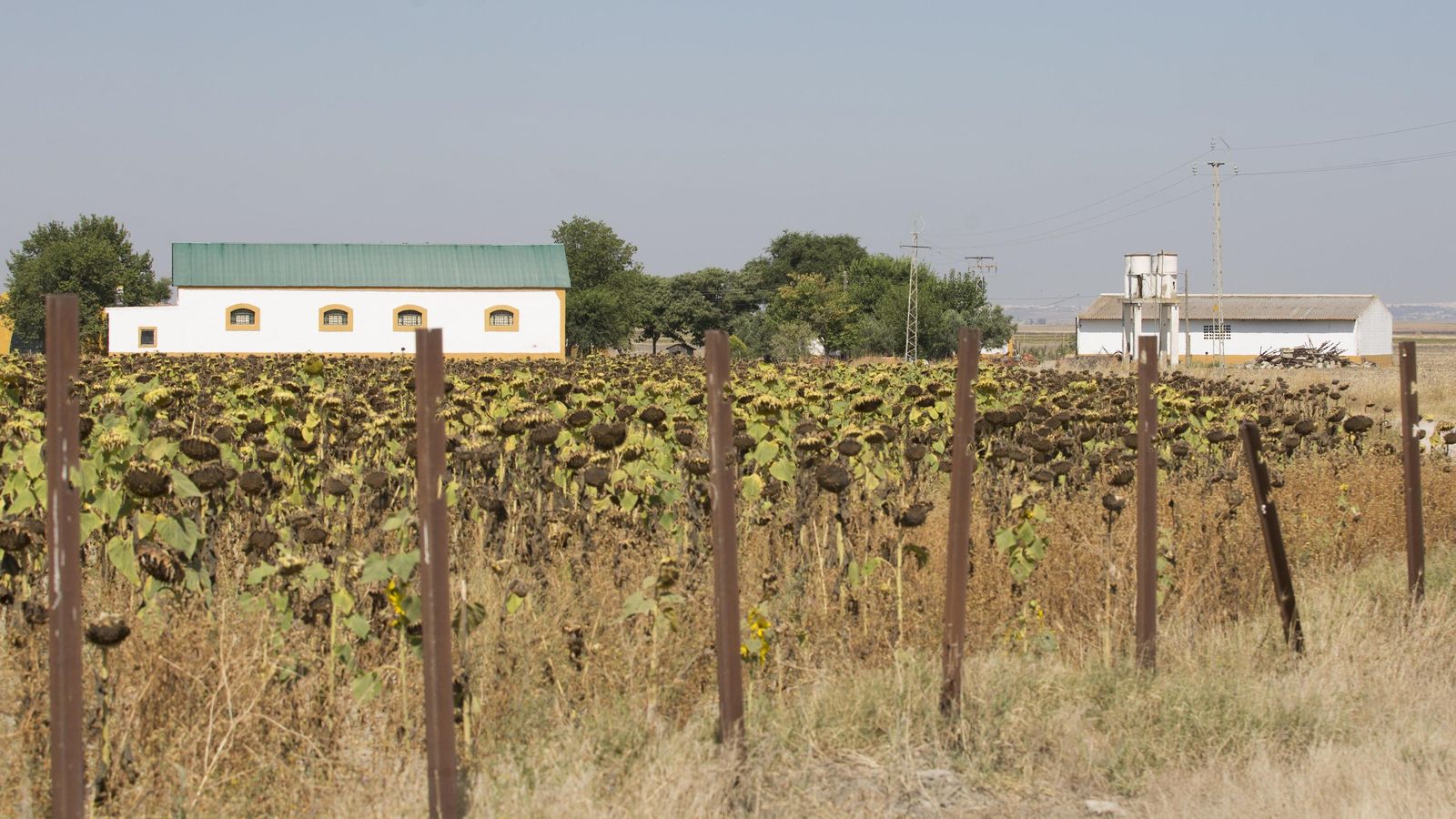 El cortijo de Los Galindos en la actualidad.