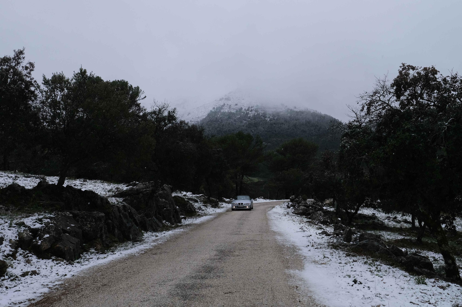 La nueva nevada  en el Parque Nacional Sierra de las Nieves, en fotos