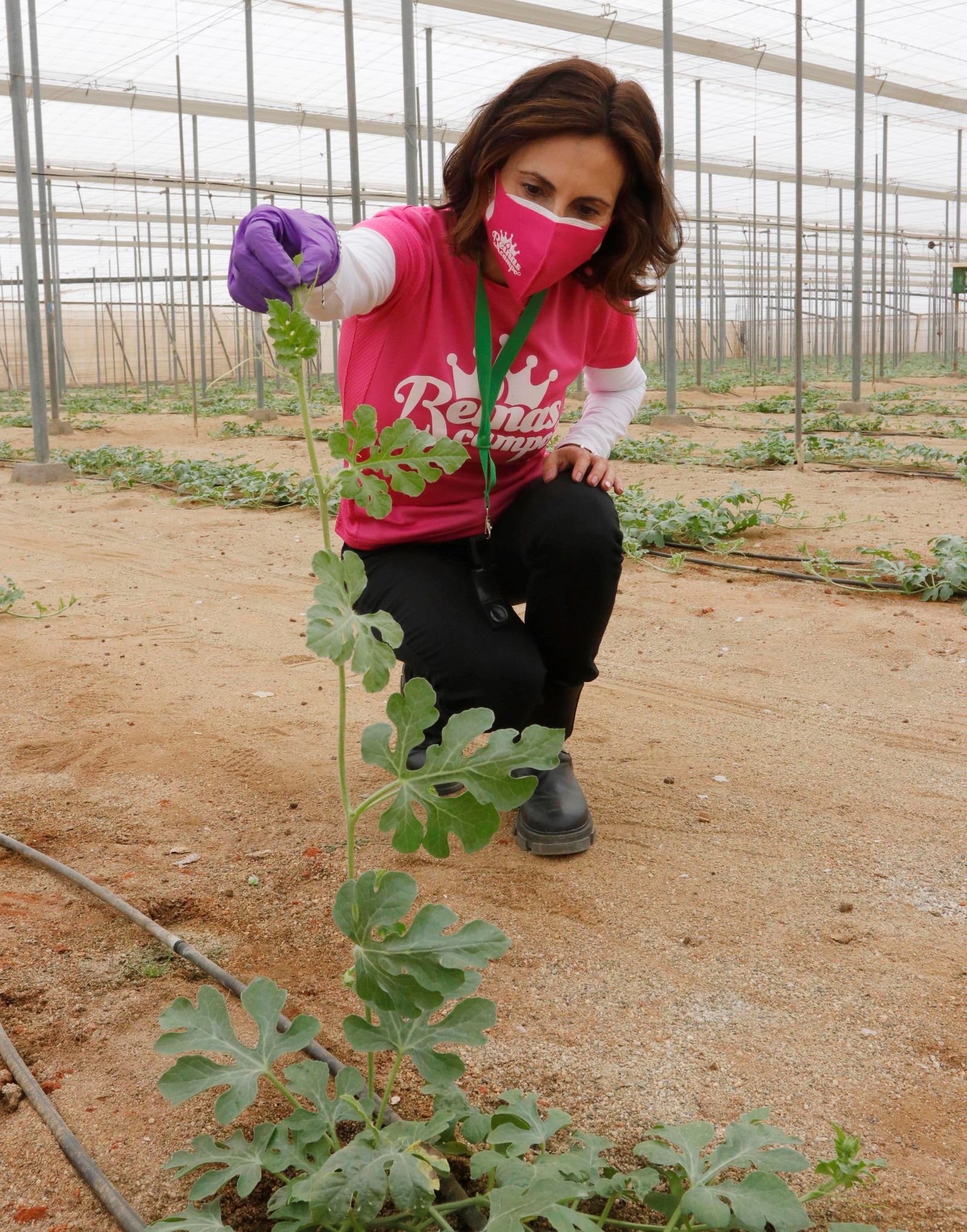 Las 'Reinas del Campo' de Almería.