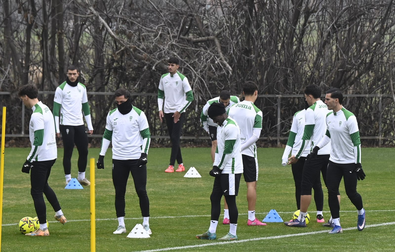Los jugadores del Córdoba se ejercitan durante una sesión en la Ciudad Deportiva.